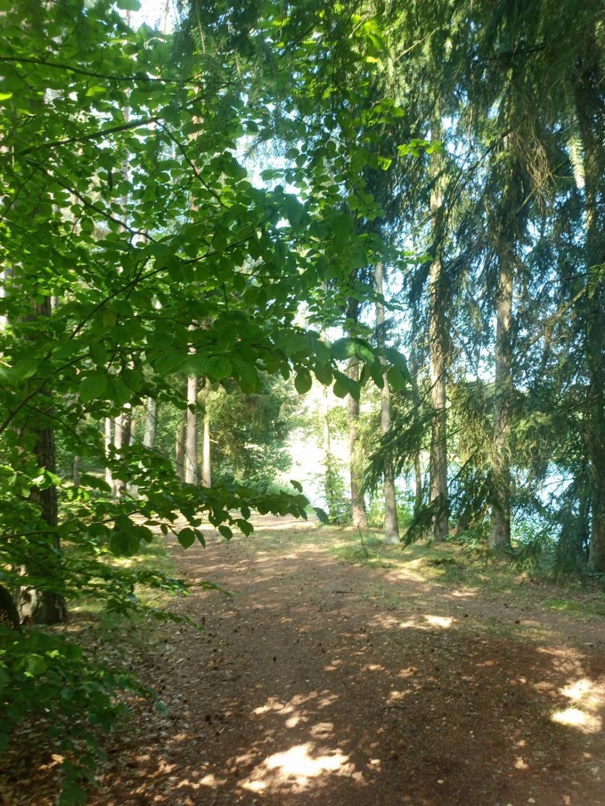 Domek Na Kaszubach, Borowy Mlyn, Jezioro Gwiazda, Sauna, 3 מראה חיצוני תמונה