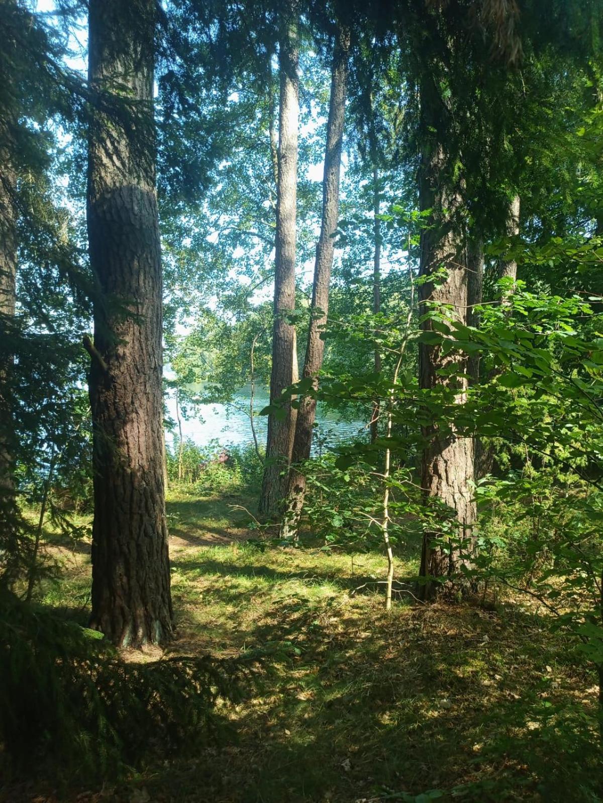 Domek Na Kaszubach, Borowy Mlyn, Jezioro Gwiazda, Sauna, 3 מראה חיצוני תמונה